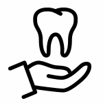 Our Orthodontists