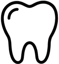 Our Orthodontists